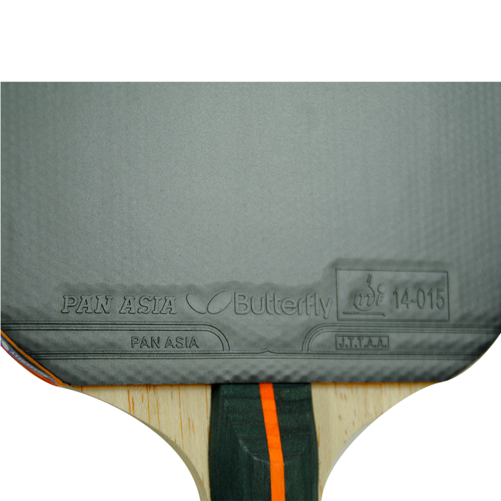 Timo Boll CF Carbon Fiber 1000 Butterfly Ping Pong Back of Paddle with Model Information Imprinted
